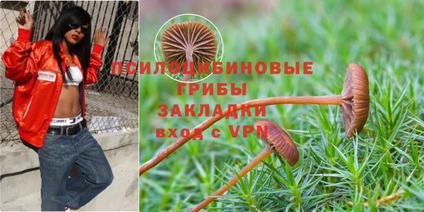COCAINE Алексеевка